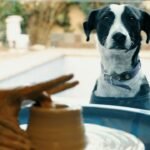 profesora-ceramista9