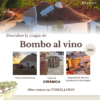 taller-ceramica-vino-tomelloso